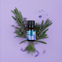 Aceite Esencial Lavanda - Sagrada Madre - Sagrada Madre Chile