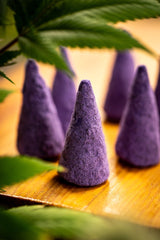 Conos Purple Hindu Kush (Indica) Sagrada Madre - Sagrada Madre Chile