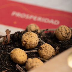 Kit Humito Sagrado Prosperidad - Sagrada Madre Chile