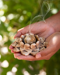 Porta Sahumerio y Bombita Flor de Loto - Sagrada Madre Chile