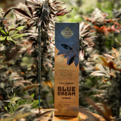 Sahumerio Blue Dream - Sagrada Madre Chile