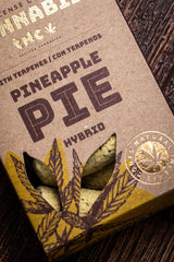 Sahumerio Conos Grow Cannabis Pineapple Pie - Sagrada Madre Chile