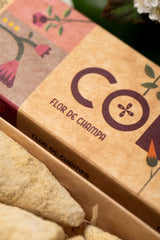 Sahumerio en Conos Flor de Champa - Sagrada Madre Chile