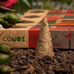 Sahumerio en Conos Patchouli Palo Santo Sagrada Madre - Sagrada Madre Chile