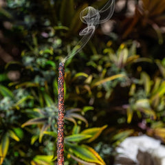 Sahumerio Tropicana Cookies - Sagrada Madre Chile