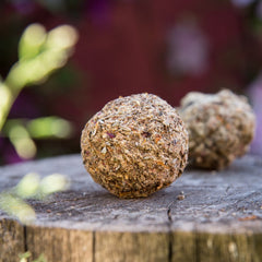 Bomba Herbal XL Purificación - Sagrada Madre Chile