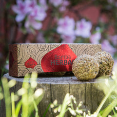 Bomba Herbal XL Purificación - Sagrada Madre Chile