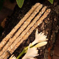 Sahumerio Botánico Nardo Incienso - Sagrada Madre Chile