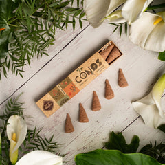 Sahumerio en Conos Sándalo Yagra - Sagrada Madre Chile