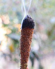 Sahumo Sagrado 10 Hierbas - Sagrada Madre Chile