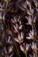 Sahumerio Natural Doble  Lavanda y Olíbano