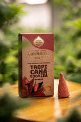 Conos Tropicana Cookies Sagrada Madre - Sagrada Madre Chile