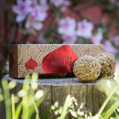 Bomba Herbal XL Purificación