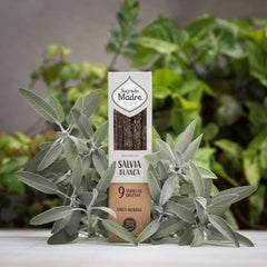 Sahumerio Herbal Salvia Blanca