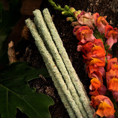 Sahumerio Botánico Fresias - Sagrada Madre Chile